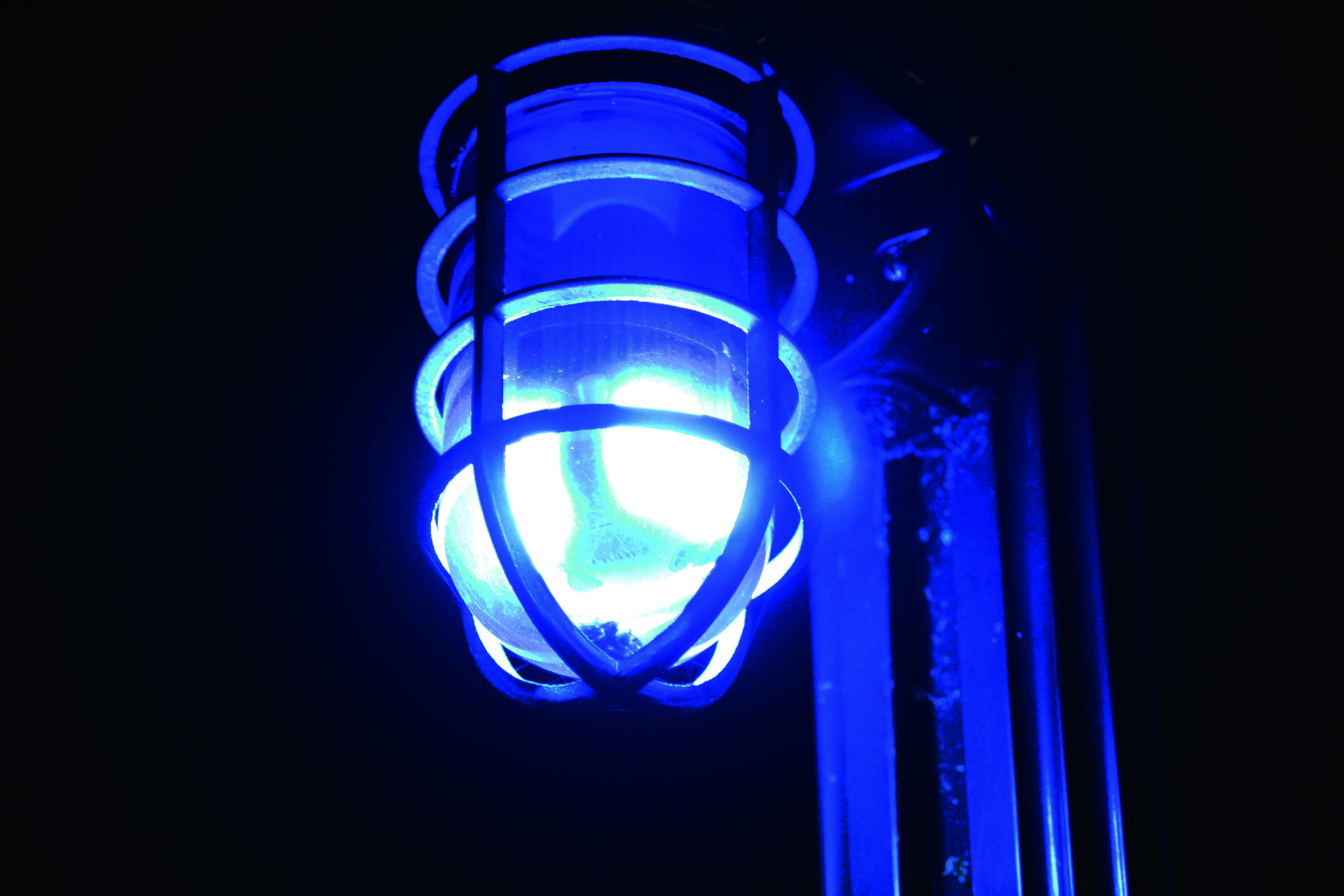 Фонари синий свет. Синий свет. Синий фонарь. Синий фонарик. Голубой фонарик.